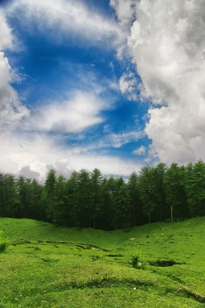 森と青い空の雲と山 — ストック写真