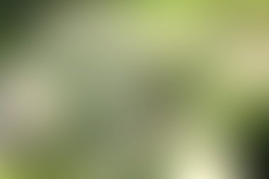 Soyut yeşil arkaplan