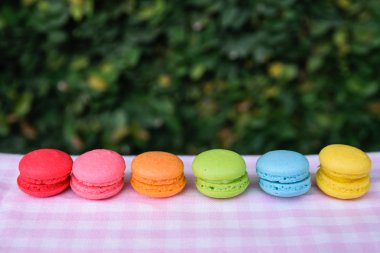 renkli mini macarons 