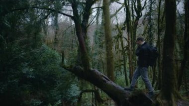 Ormanda fotoğraf çeken bir adam, ormanda fotoğraf çeken bir adam.