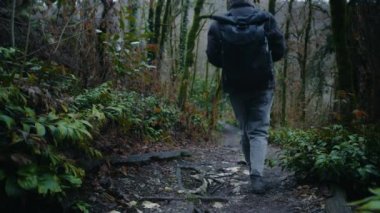Gezgin orman yolunda iniyor, ormandaki adam.