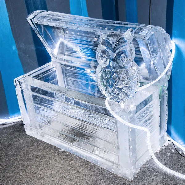 Frozen ice - chest owl — Stock Photo, Image