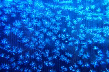 Noel kar taneleri arka plan.