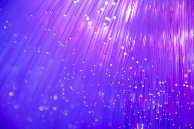 fiber optik ağ kablosu