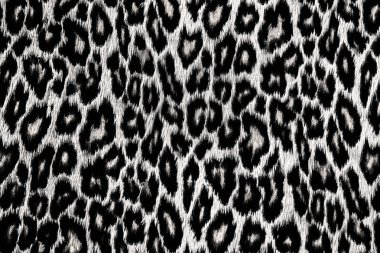 Siyah ve beyaz leopar, jaguar, lynx deri arka plan