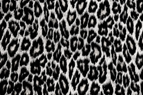 Black and white leopard, jaguar, lynx skin background — Stock Photo, Image