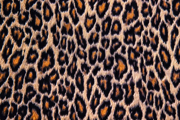 Leopard background Pictures, Leopard background Stock Photos & Images ...