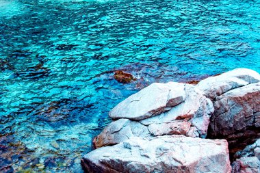 kayalık sahil şeridi.