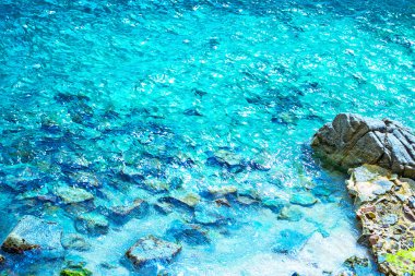 kayalık sahil şeridi.