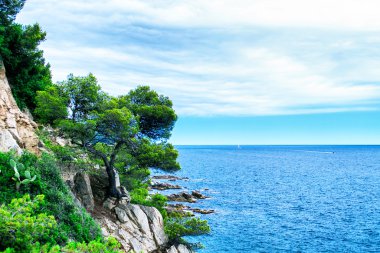 Kayalık sahil şeridi. Deniz kaya