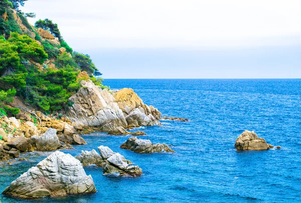 La côte rocheuse. Rocher dans la mer — Photo