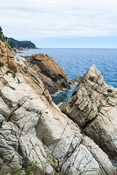 A costa rochosa. Pedra no mar — Fotografia de Stock