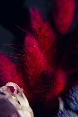 Çiçek için soyut makro dekorasyon