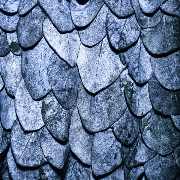 Hojas azules de fondo en forma de escamas de una serpiente — Foto de Stock