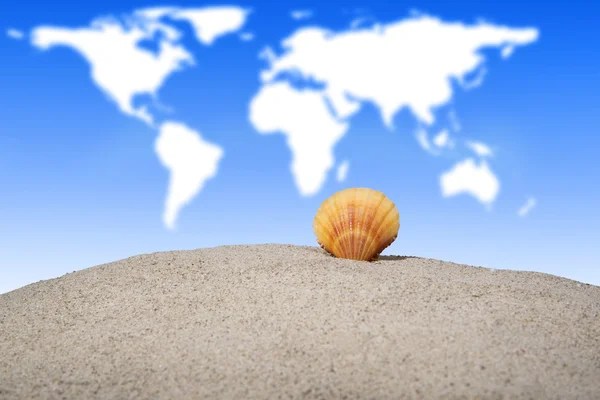 Conchiglia sulla spiaggia di sabbia — Foto Stock