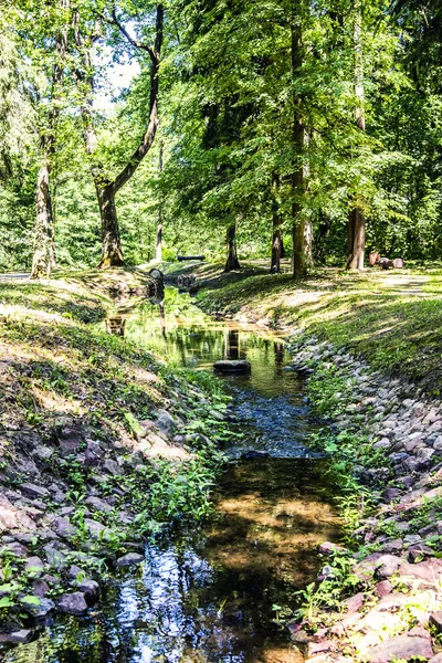 Gyönyörű folyó az erdőben — Stock Fotó