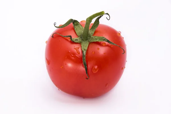 Tomate — Foto de Stock