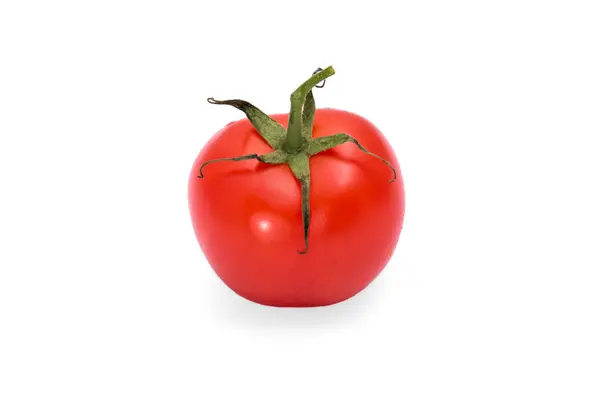 Tomate — Foto de Stock