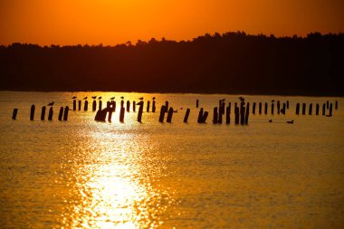 Polonya sahilinde gün doğumu, Ustka, Polonya, Baltık Denizi.