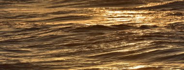 Polonya kıyıları, Baltık denizi.