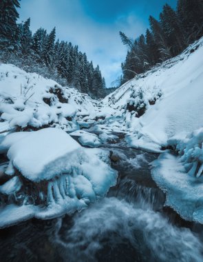 Taze karla kaplı dağ dere
