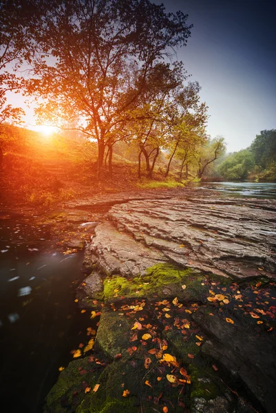 Río al amanecer en el bosque —  Fotos de Stock