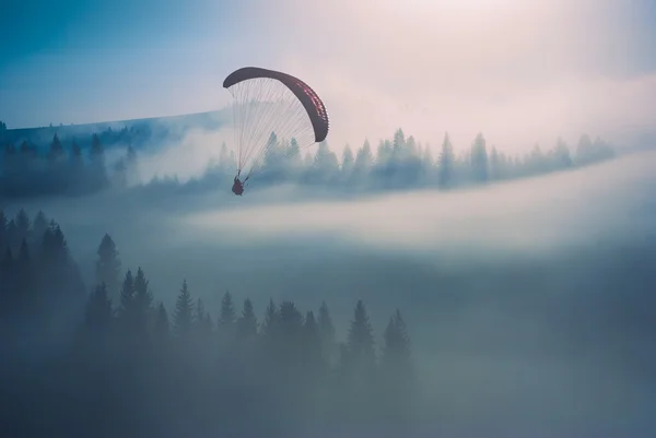 Para o céu — Fotografia de Stock