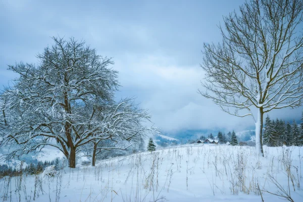 Valle frío del invierno de los Cárpatos —  Fotos de Stock