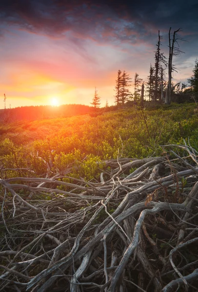 Západ slunce nad údolím smrti — Stock fotografie