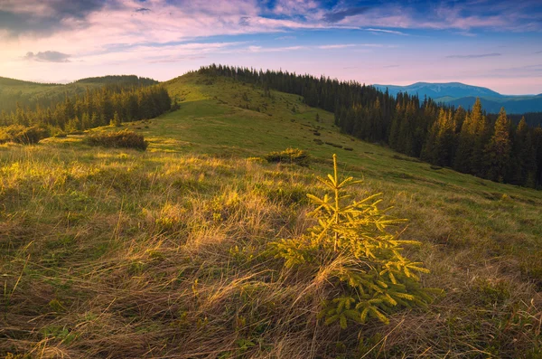 Warm light lay on a mountain hills — Stock Photo, Image