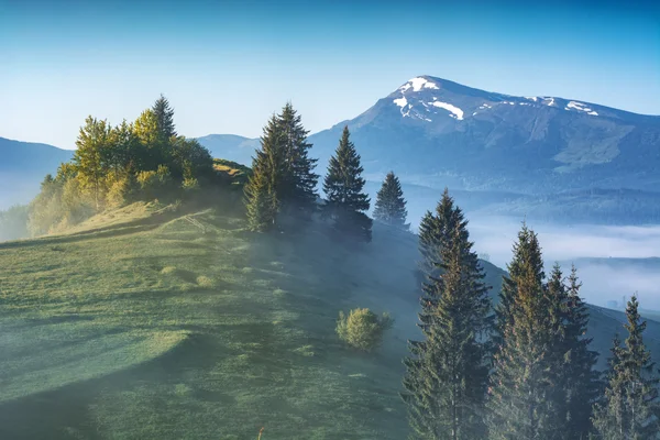 Misty valley with snow-capped mountain — Stock Photo, Image