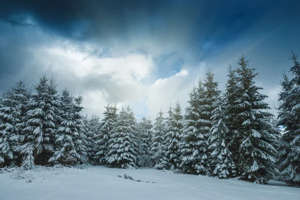 Valle dei Carpazi invernali — Foto Stock