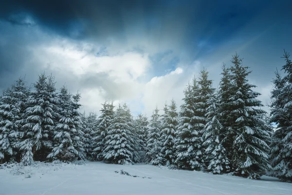 Invierno Valle de los Cárpatos — Foto de Stock