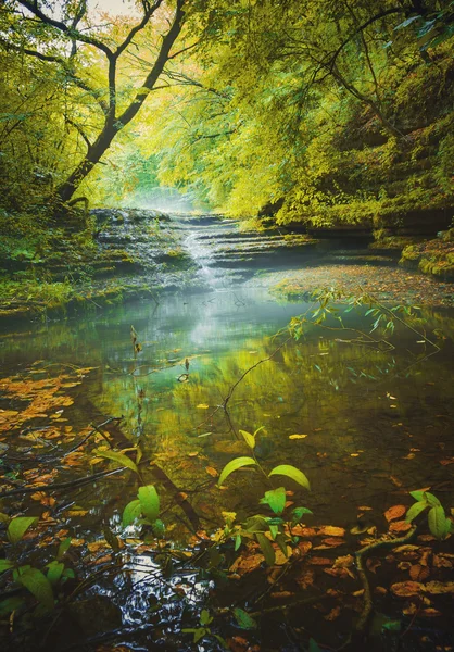 魔法の森の川 — ストック写真