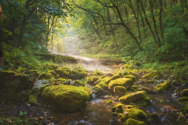 魔法の霧の川 — ストック写真