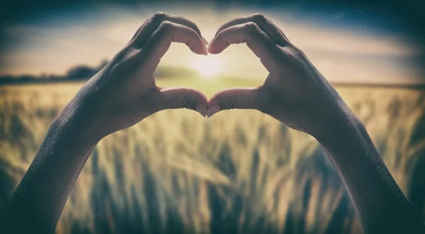 Forma de un corazón al atardecer — Foto de Stock