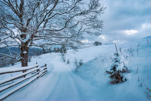 Inverno in un villaggio — Foto Stock