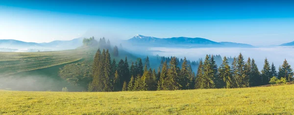 Misty ukrainian valley — Stock Photo, Image