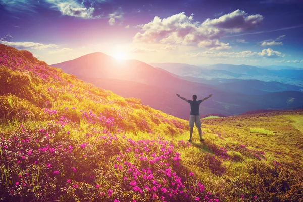 Hombre feliz en un valle de rododendros — Foto de Stock