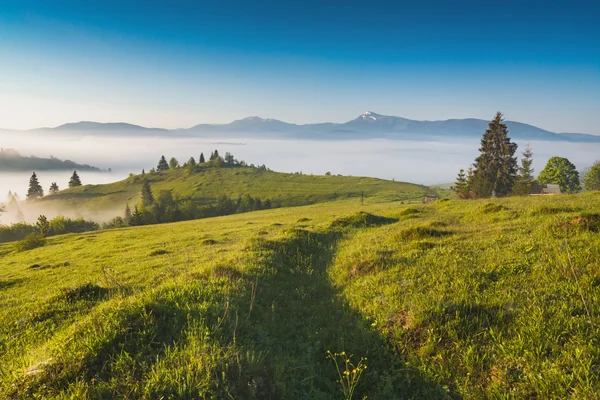 Morning in a valley — Stock Photo, Image