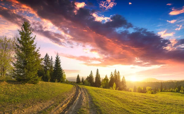 Грязная Дорога Через Карпатскую Альпийскую Долину Красочными Облаками Закатном Небе — стоковое фото