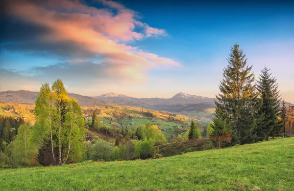 Maestoso Tramonto Carpatico Una Valle Montagna Autunnale Ucraina Europa — Foto Stock