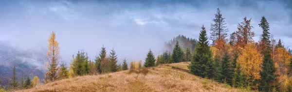 Prado Alpino Uma Neblina Montanhas Dos Cárpatos Tempo Queda — Fotografia de Stock