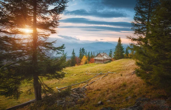 Gün Batımında Karpatlar Daki Bir Çayırda Shepherd Evi — Stok fotoğraf