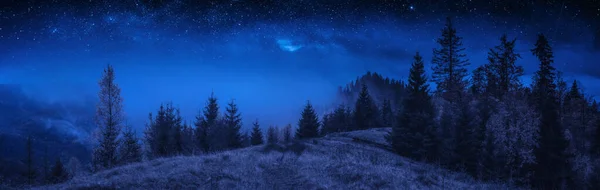 Pradera Alpina Una Niebla Montañas Los Cárpatos Noche Profunda Tiempo — Foto de Stock