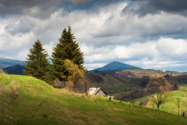 Alpin Fjälldal Med Trähus Kulle Ukrainska Karpaterna — Stockfoto