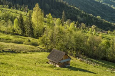 Karpatlar 'ın dağ vadisinde çimenli bir çayırdaki ahşap otantik ev. Bahar geldi..