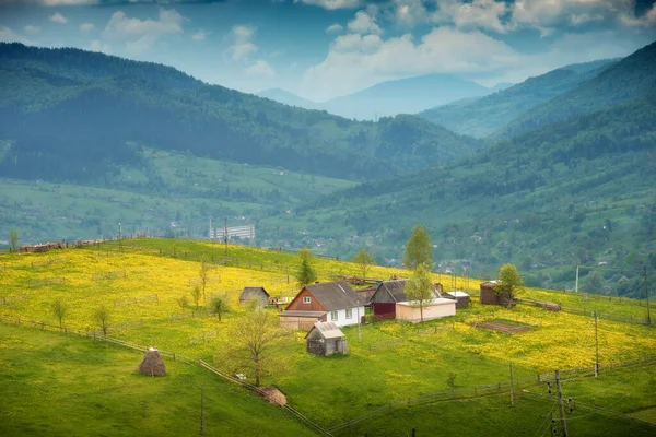 Vale Montanha Alpino Com Casas Madeira Uma Colina Cárpatos Ucranianos — Fotografia de Stock