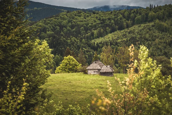 Case Legno Abbandonate Prato Erboso Una Valle Montagna Carpatica Tempo — Foto Stock