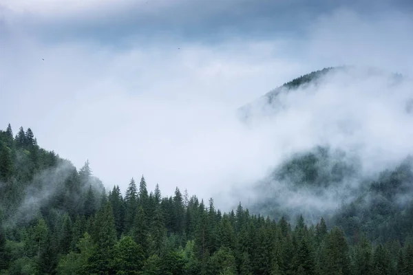 Norii Stau Munte După Ploaia Vară — Fotografie, imagine de stoc